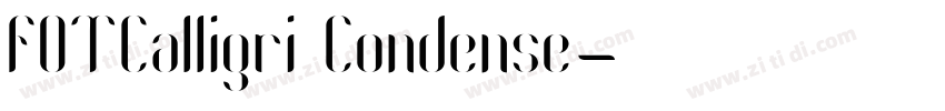 FOTCalligri Condense字体转换